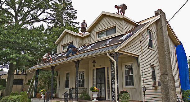 Best Metal Roofing Contractor  in Elwood, IN