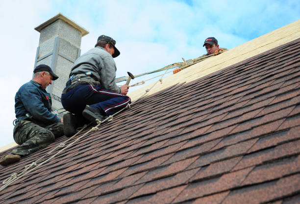 Best Commercial Roofing Services  in Elwood, IN